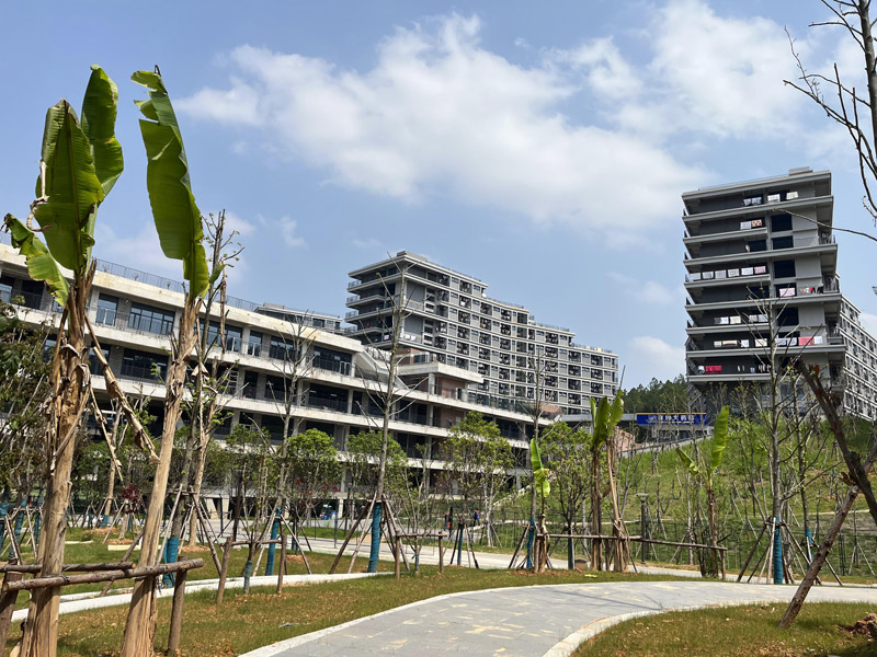 美丽校园