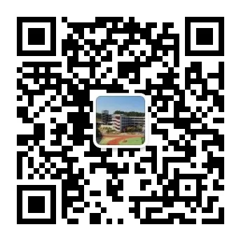 undefined 图片